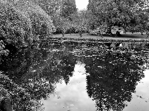 autumn, victoria, Hatley, Pond - car, Park