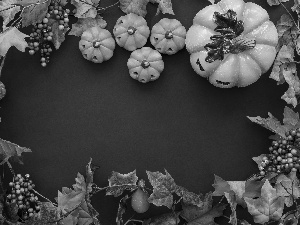 Leaf, autumn, Black, background, pumpkin, composition