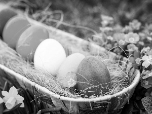 basket, Flowers, color, eggs, Easter