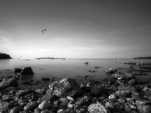 sea, gulls, Canada, Stones