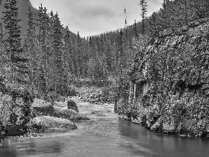 Tokumm Creek, Kootenay National Park, Marble Canyon Provincial Park, River, Mountains, Stones, viewes, Canada, Province of British Columbia, trees, rocks
