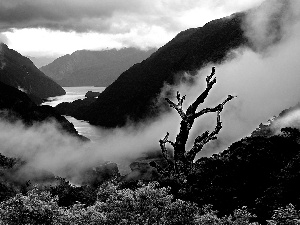 Mountains, Fog, clouds, River