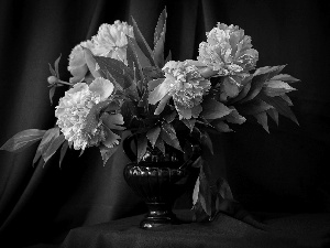 Pink, Vase, composition, Peonies