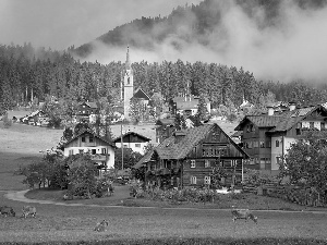 Houses, Cows, Gosau, village, Austria