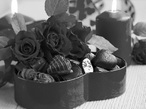 Candles, roses, women, Candies, Red, day, composition