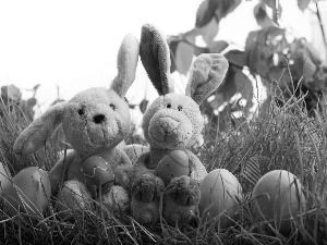 rabbits, Meadow, Easter, eggs