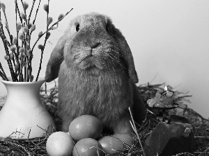 eggs, Easter, Bunny, Palms, Gray