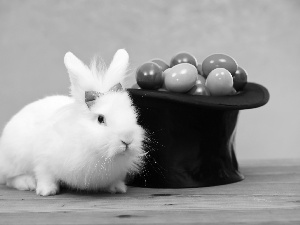 Rabbit, Easter, eggs, Hat