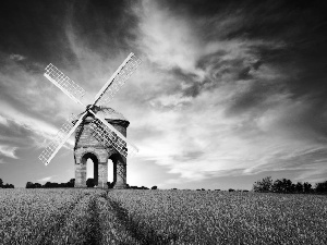 Field, Windmill, clouds