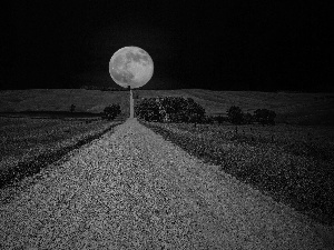Field, Way, moon