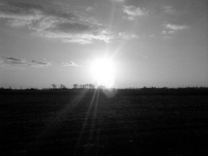 rays of the Sun, Field