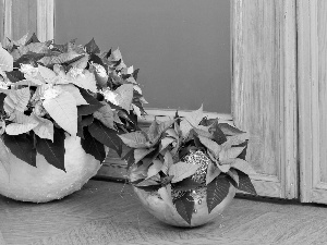 Flowers, pots, ornament