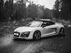 Way, Audi R8, forest