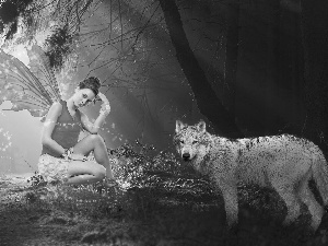 Women, Wolf, forest, angel