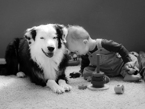 Kid, toys, friends, dog