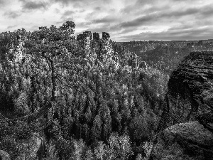 Děčínská vrchovina, rocks, rays of the Sun, Germany, Saxon Switzerland National Park, pine