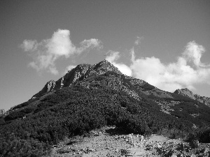 mount, Giewont