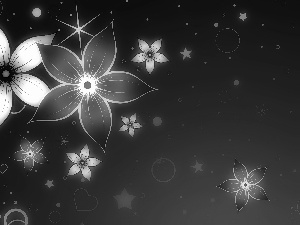 graphics, Flowers, Stars