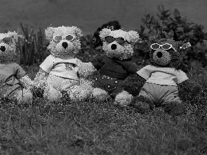 plushies, toys, Glasses, grass, clothes, bear