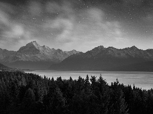 Mountains, Night, lake, forest