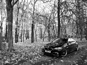 Park, BMW 5 Series F10, trees, viewes, autumn, Way