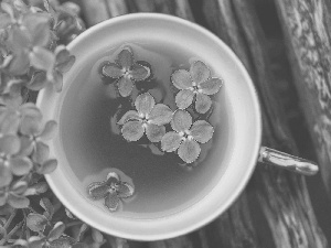 cup, Flowers, lilac, tea
