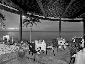 Palms, Restaurant, sea