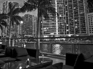 The United States, skyscraper, Palms, Miami
