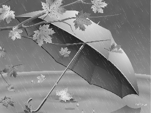 Autumn, Umbrella, Rain, Leaf