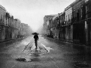 Rain, Umbrella, Street, a man, picture