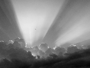 plane, clouds, rays of the Sun