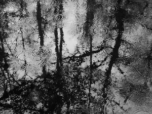reflection, Rain, water