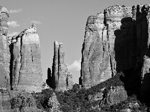 Sedona, Arizona, canyon, scrub, rocks