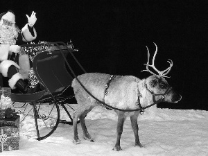 Santa, reindeer, snow, sleigh