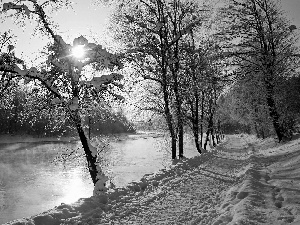 snow, winter, trees, viewes, River