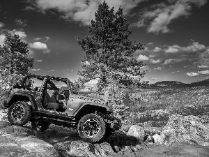 trees, jeep, Stones, clouds, viewes, Wrangler