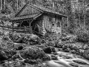 forest, wooden, mossy, Stones, River, Watermill