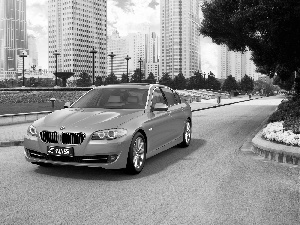 BMW 5 Series, Way, buildings, The F-10