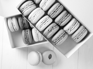 color, cookies, boarding, White, Boxes, Macaroons