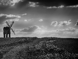 Windmill, Field, Path