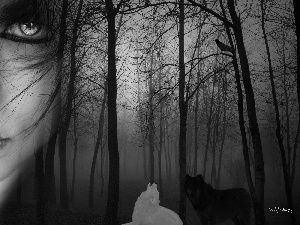wolves, Women, forest