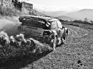 Rally automobile, DS3, WRC, Citroen