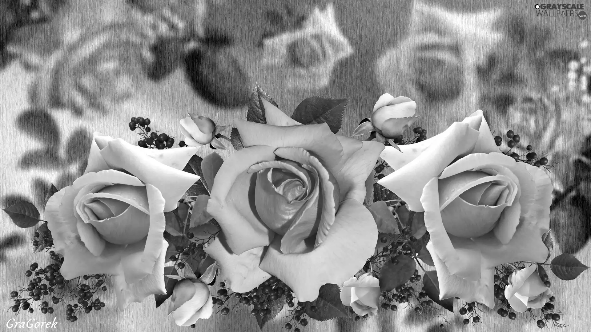 roses, 2D, Three, developed, Flowers