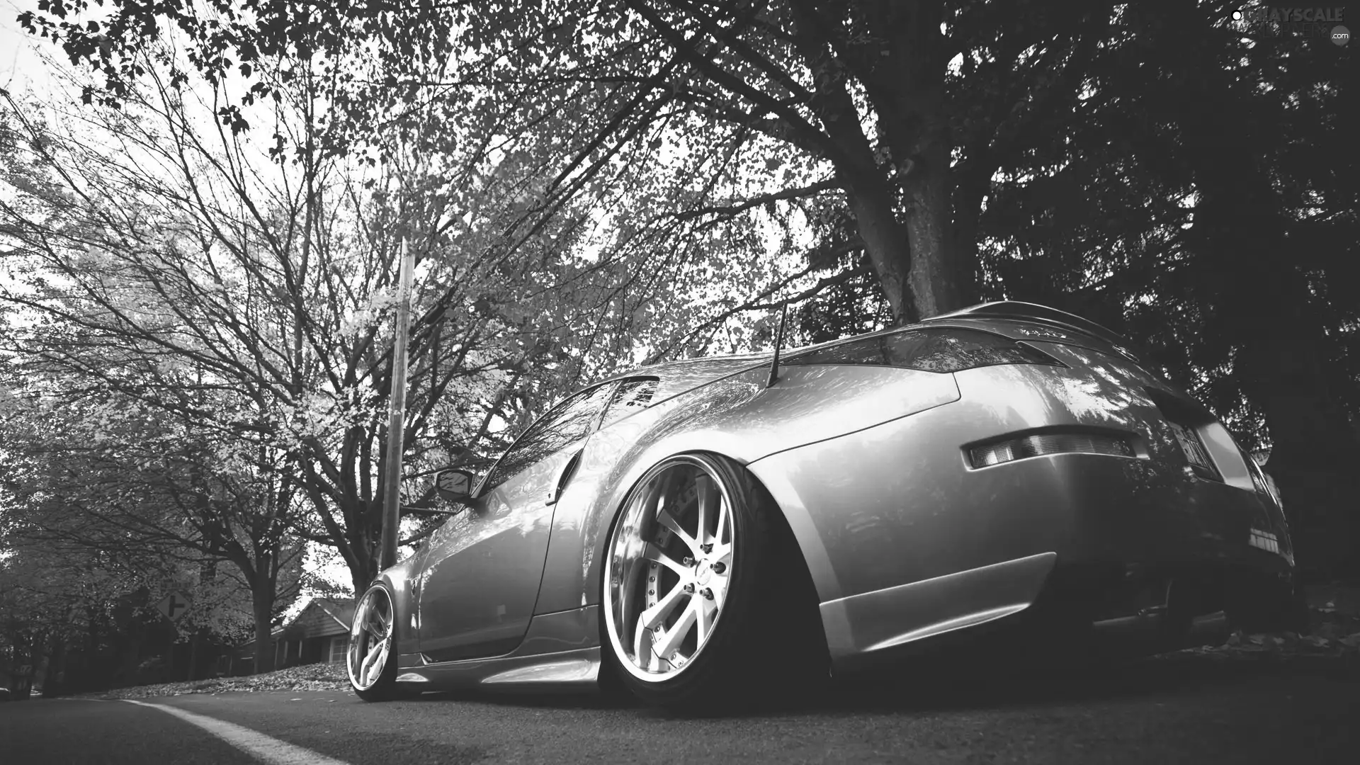 Nissan, 350Z, viewes, autumn, trees, Automobile, silver, Way
