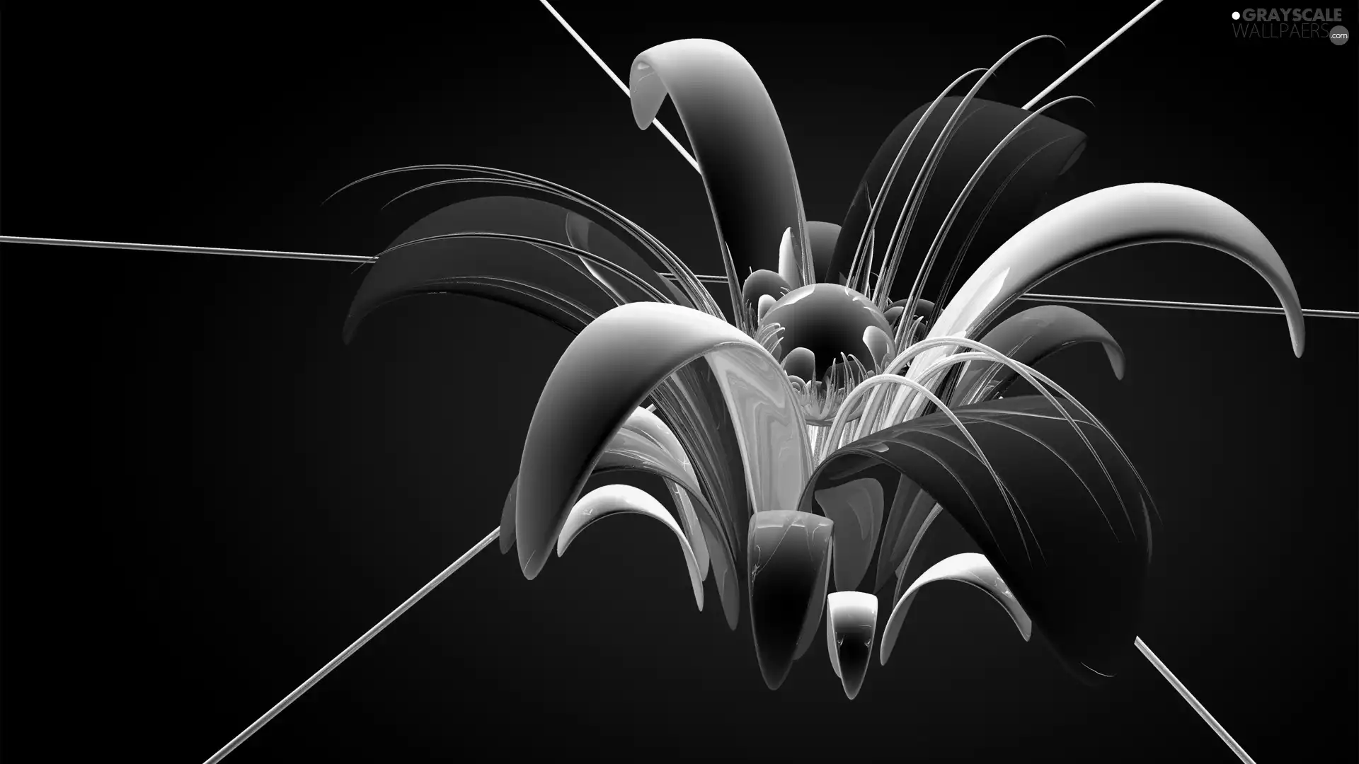 abstraction, graphics, 3D, Colourfull Flowers