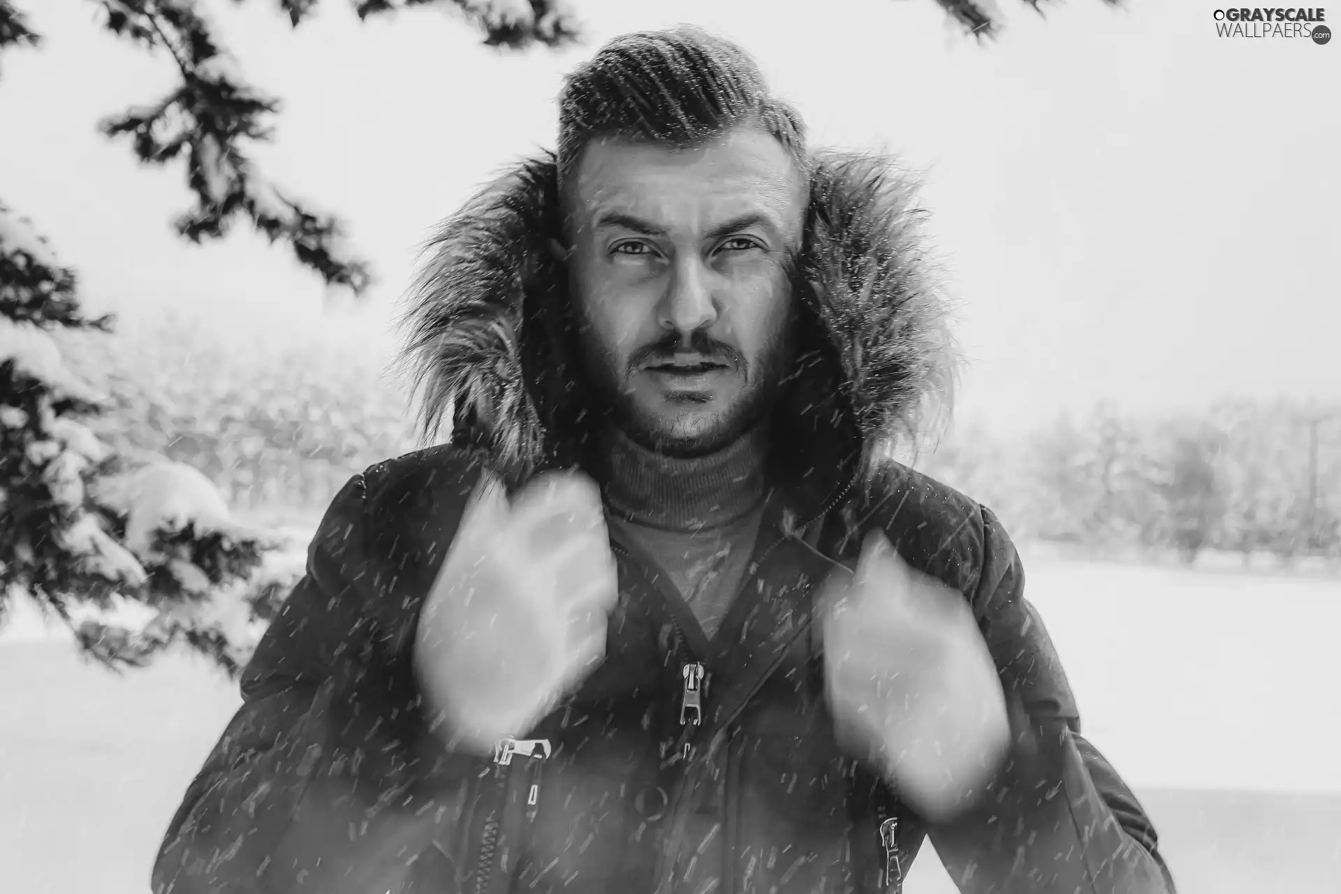 Jacked, hood, snow, a man, winter