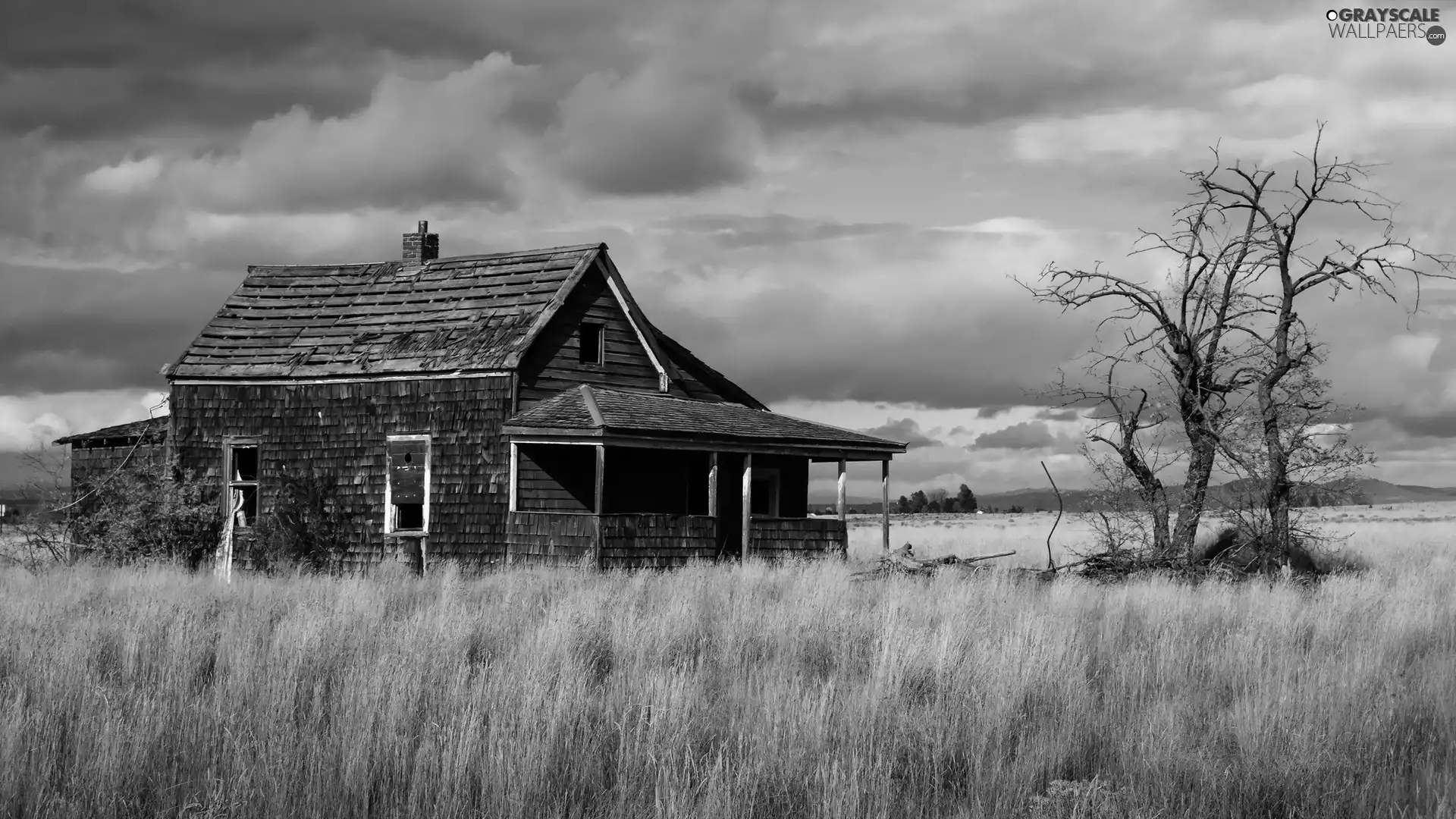 abandoned, house, trees, viewes, clouds