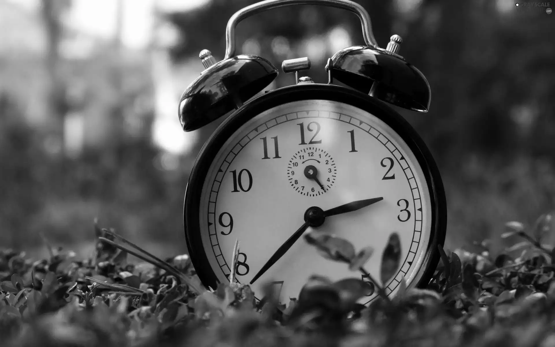 time, Clock, alarm clock