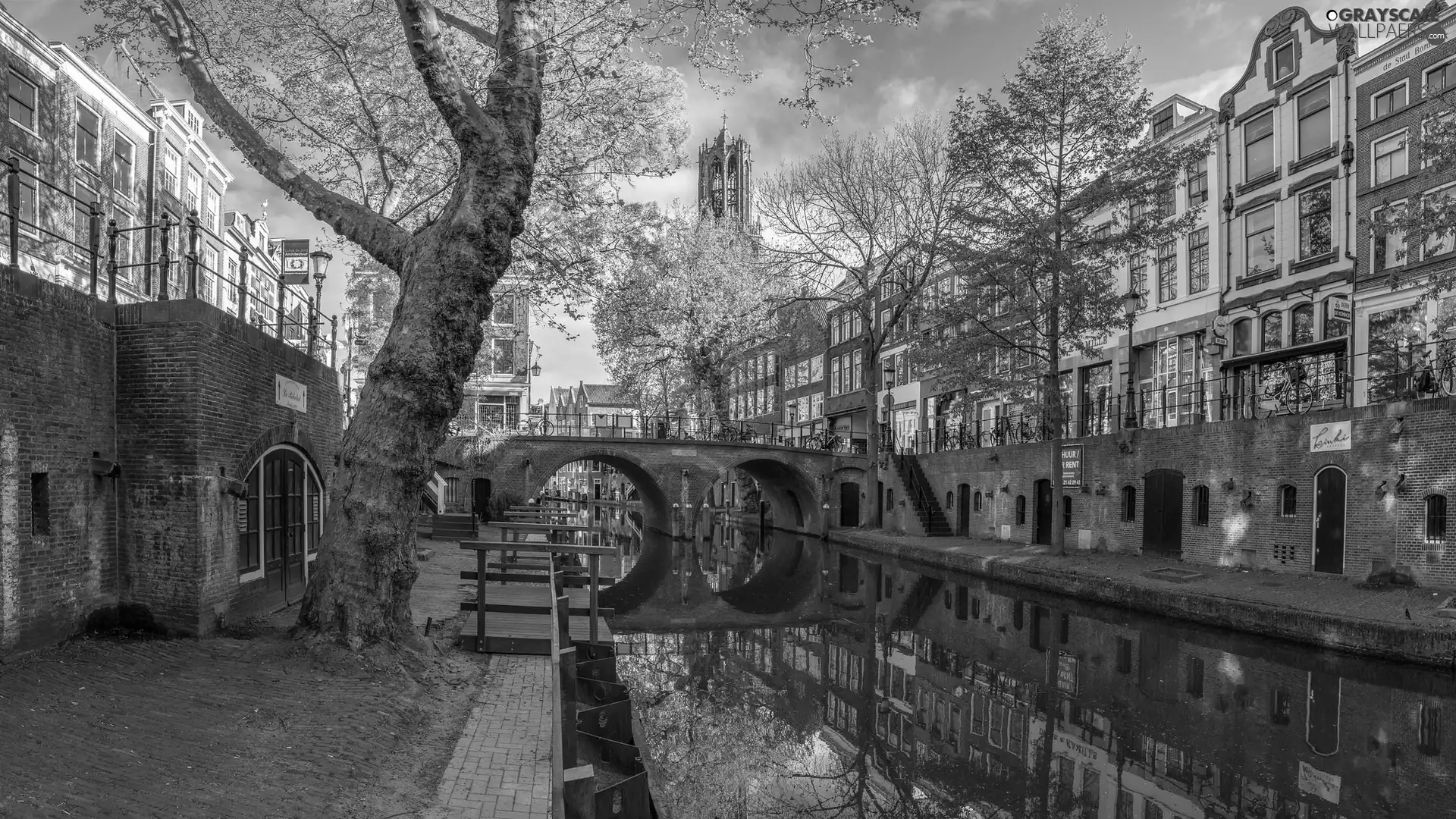 trees, apartment house, Amsterdam, Netherlands, canal, Houses