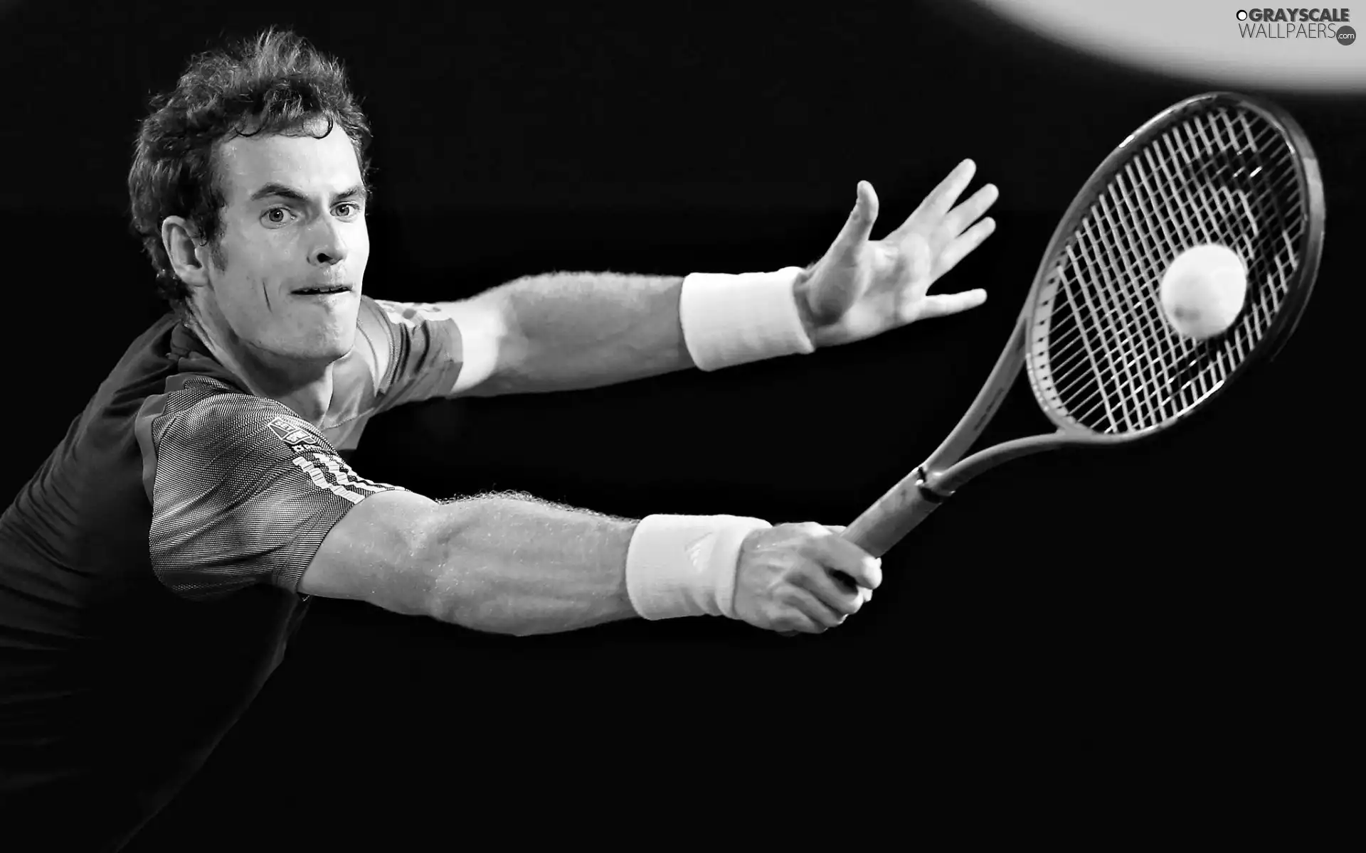 Scotchman, Tennis player, Andy Murray